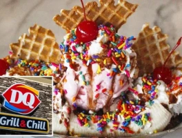 Dairy Queen Rival Files for Bankruptcy: Freddy's Frozen Custard and What We Know