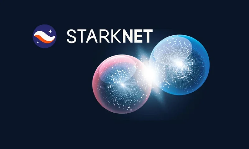 Starknet: The Token, The Price, and The Truth Behind The Hype